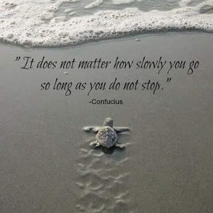 Meet your Posher, Carie